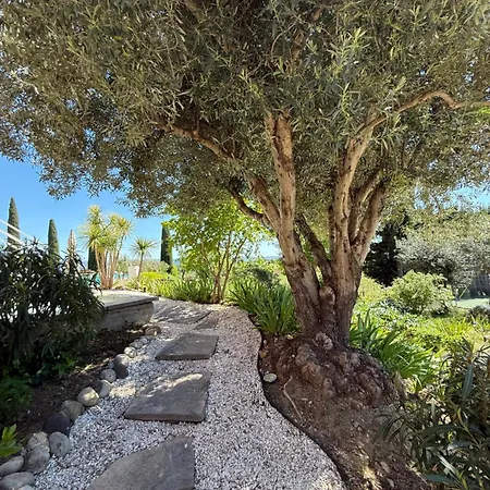La Majorelle T3 De 92 M² + Terrasses, Jardin.